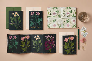Botanical Concertina Card