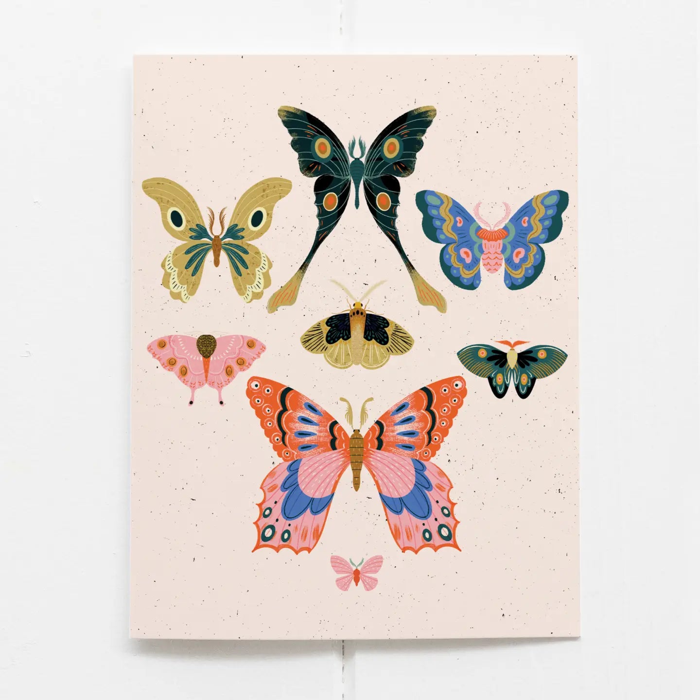 Moth Greeting Card