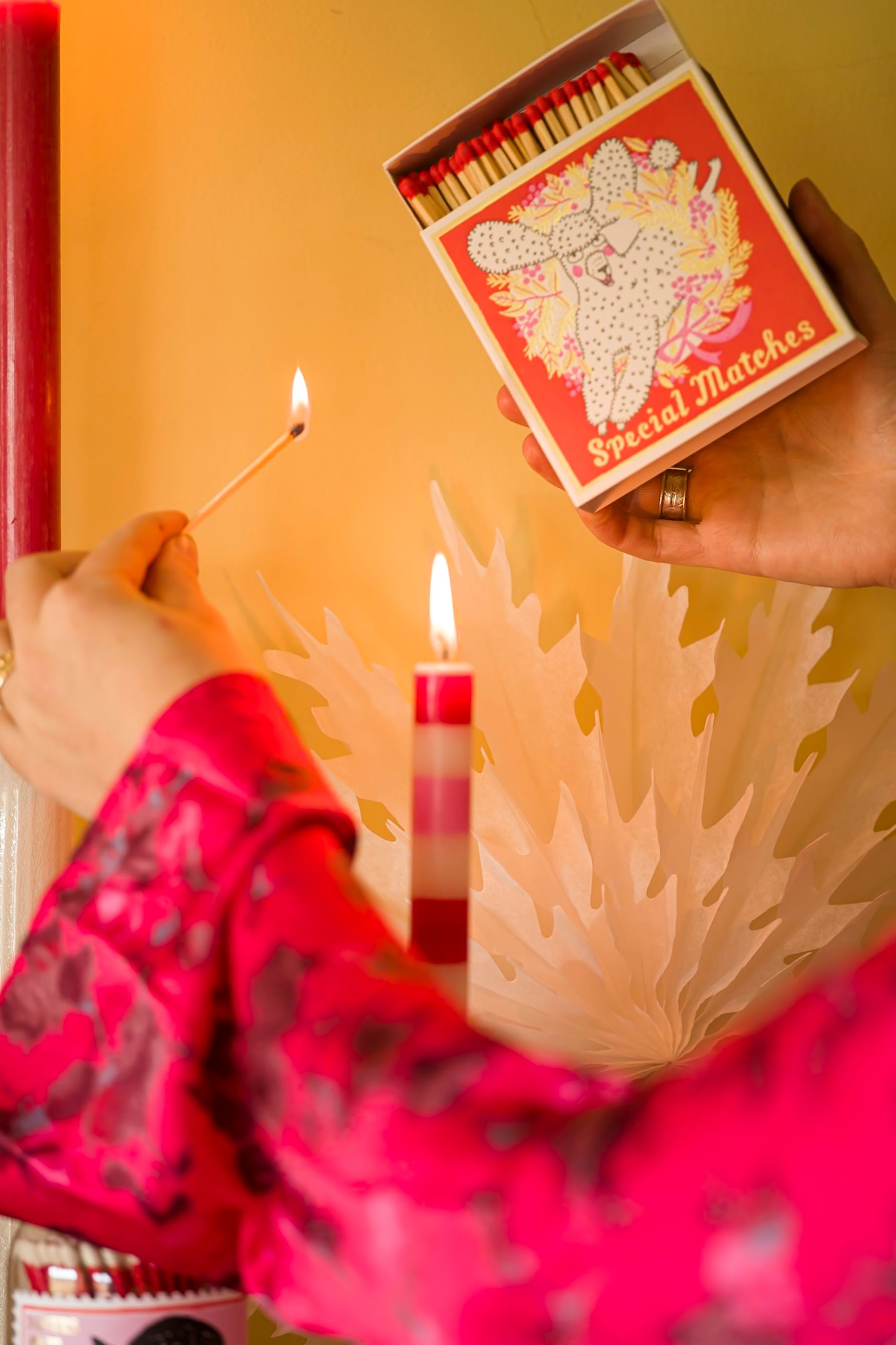 Christmas Poodle Matchbook