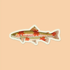 Rainbow Trout Starry Fish Sticker