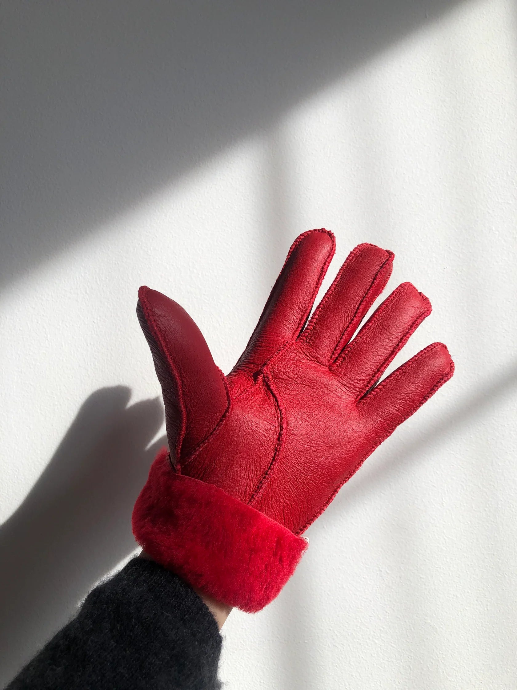 Leather Shearling Gloves