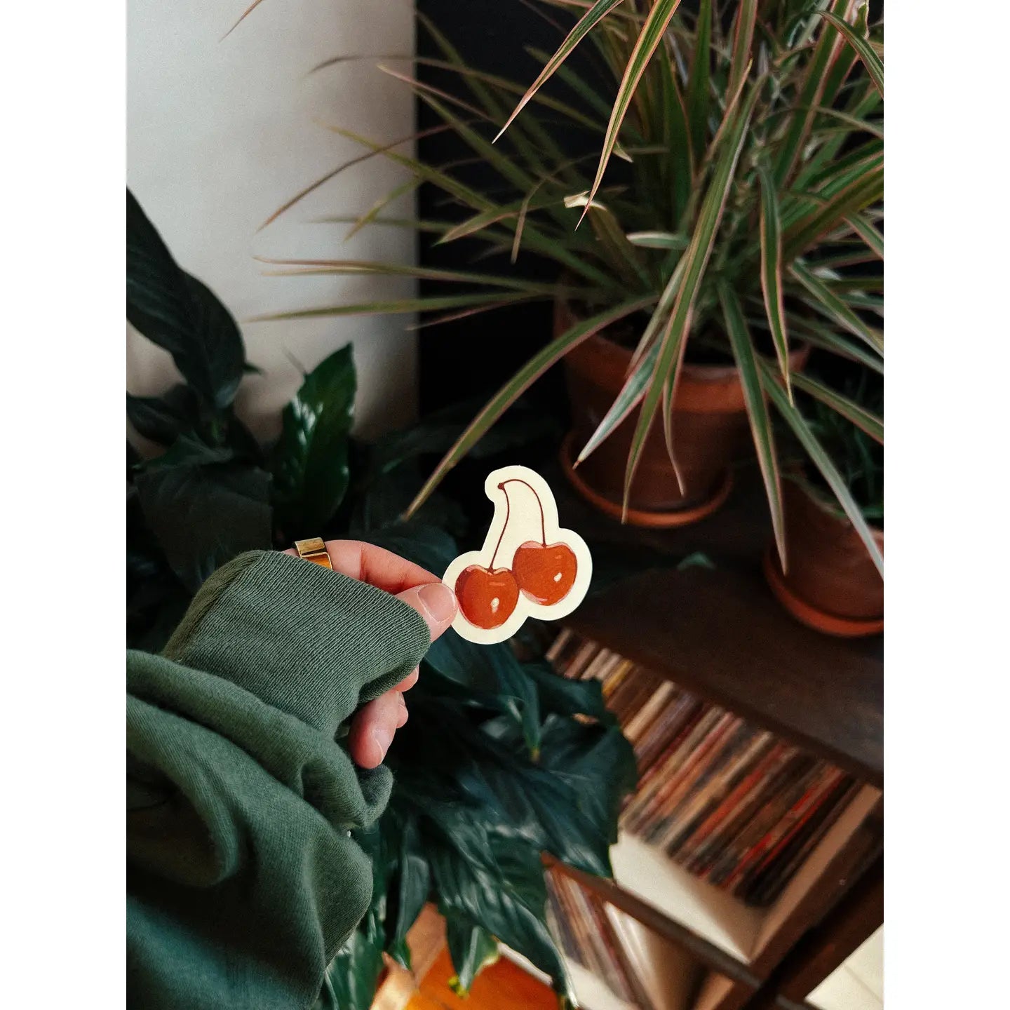 Pair Of Cherries Sticker