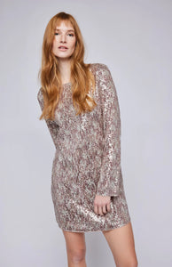 Zadie Sequin Mini Dress