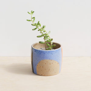 Small Ceramic Form Planter