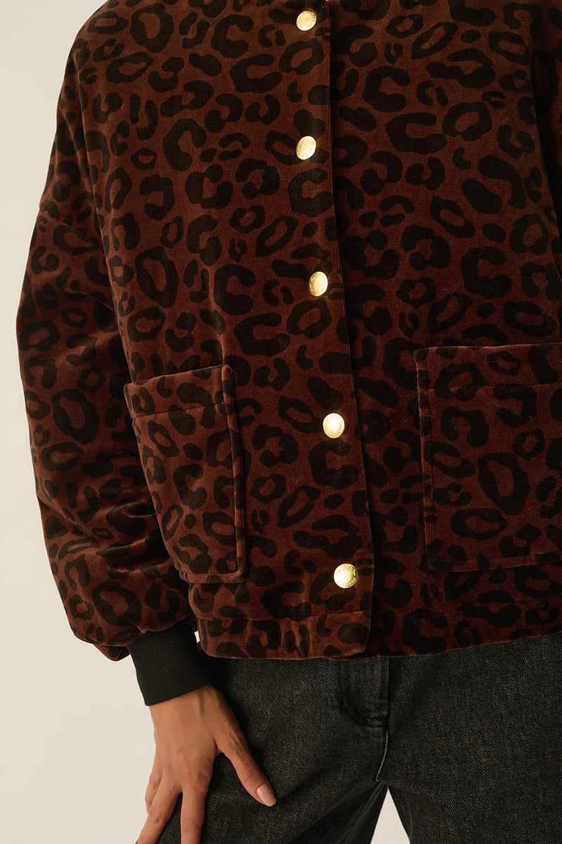Hilda Velvet Bomber Jacket In Leopard