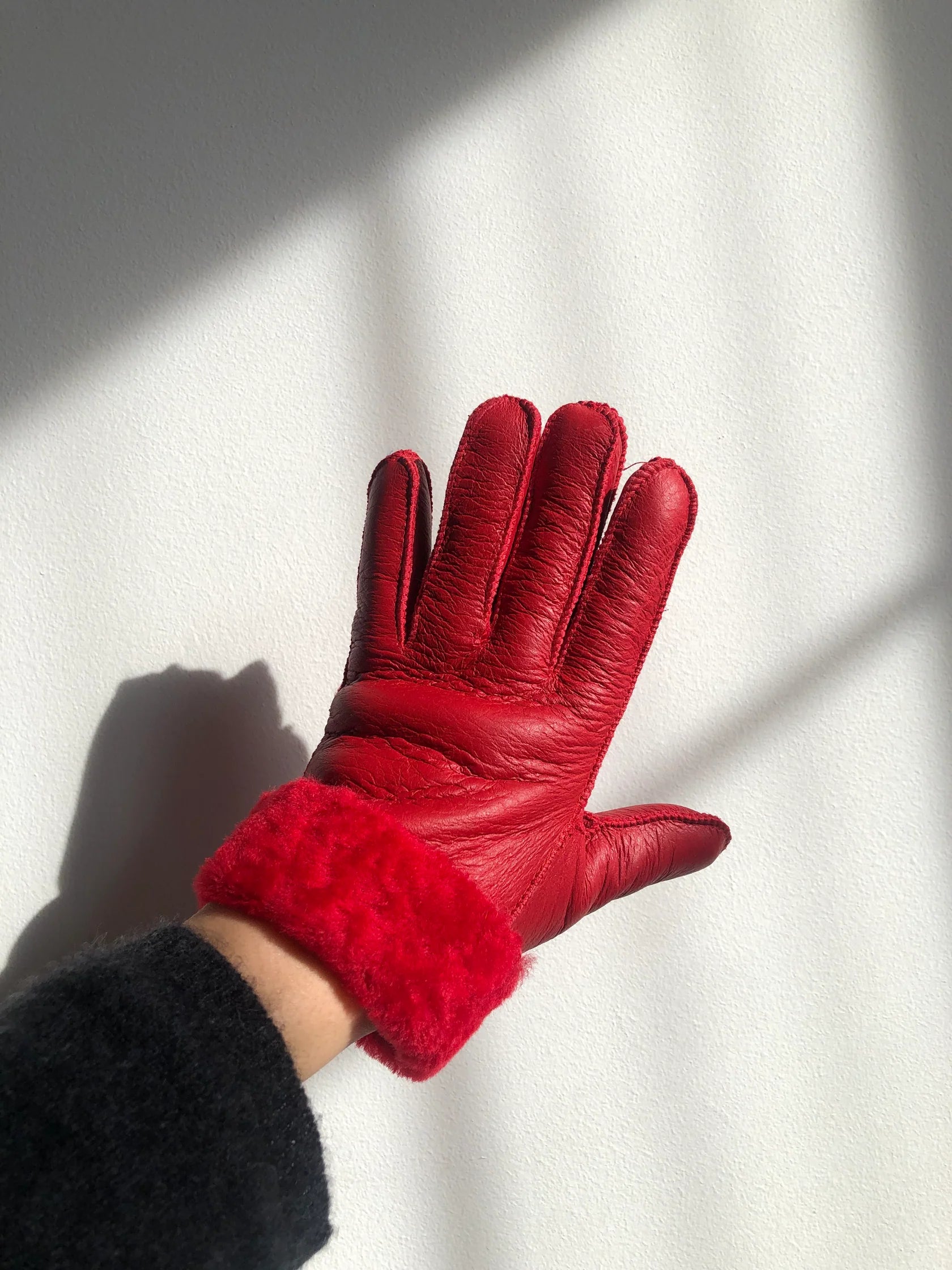 Leather Shearling Gloves