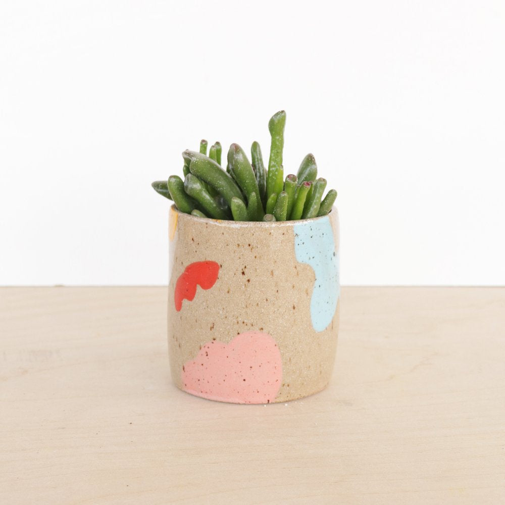 Small Ceramic Planter