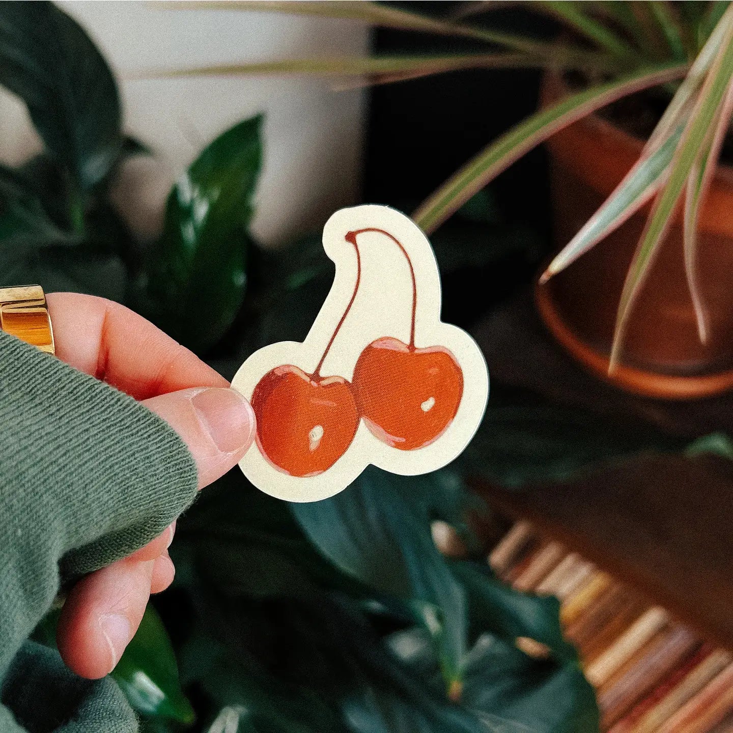 Pair Of Cherries Sticker
