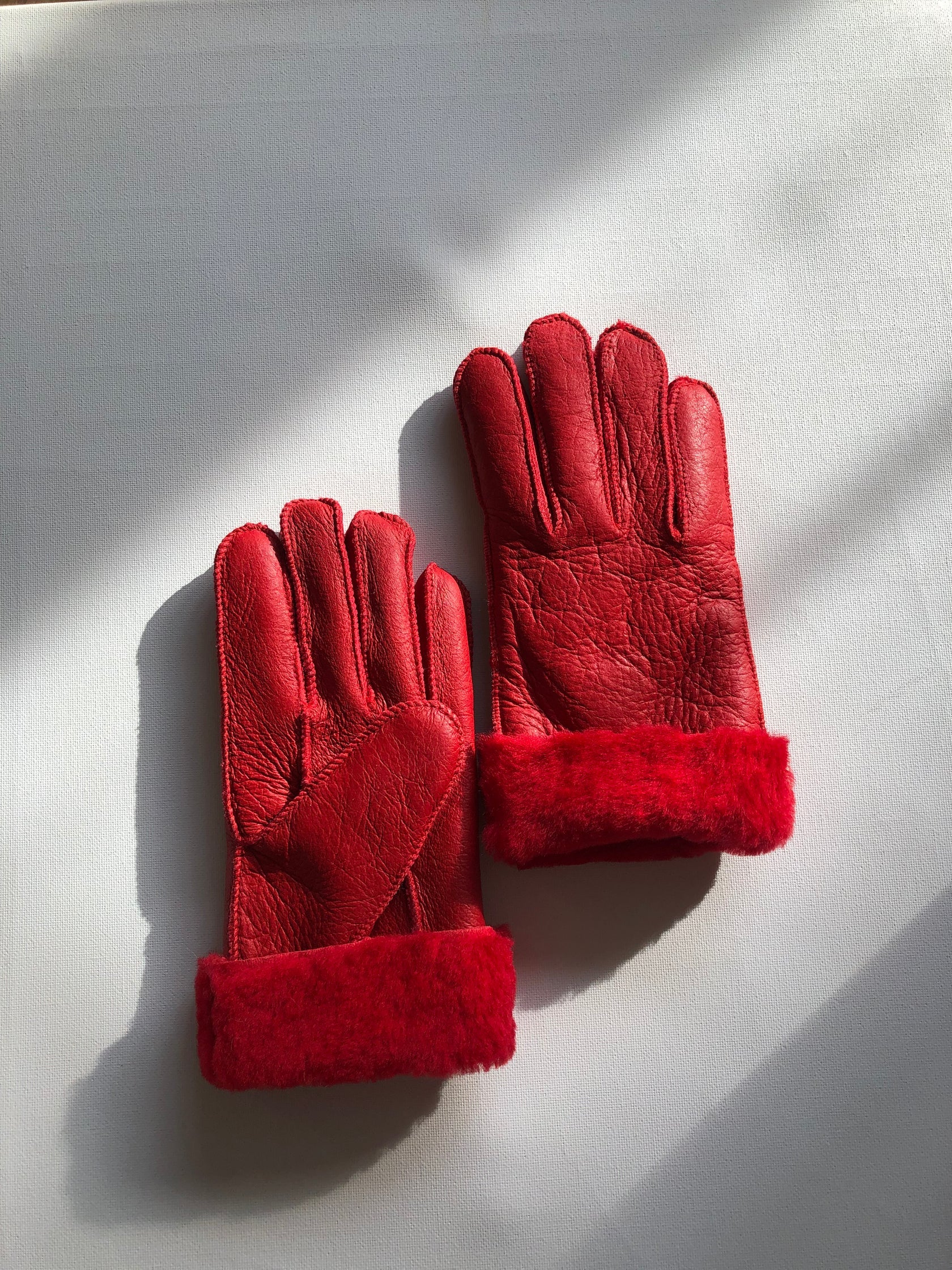 Leather Shearling Gloves