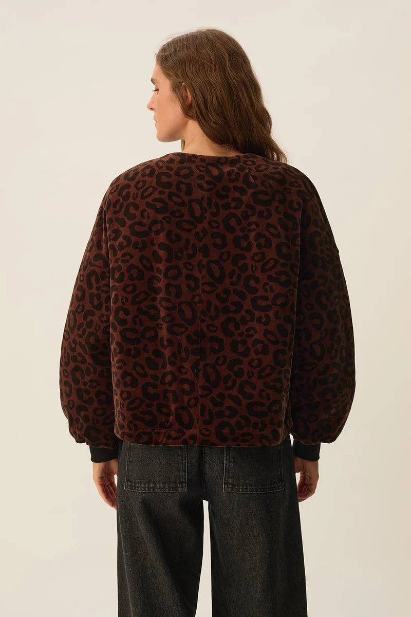 Hilda Velvet Bomber Jacket In Leopard