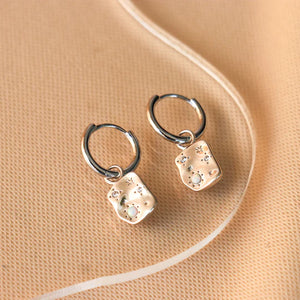 Kiara Earrings In Silver