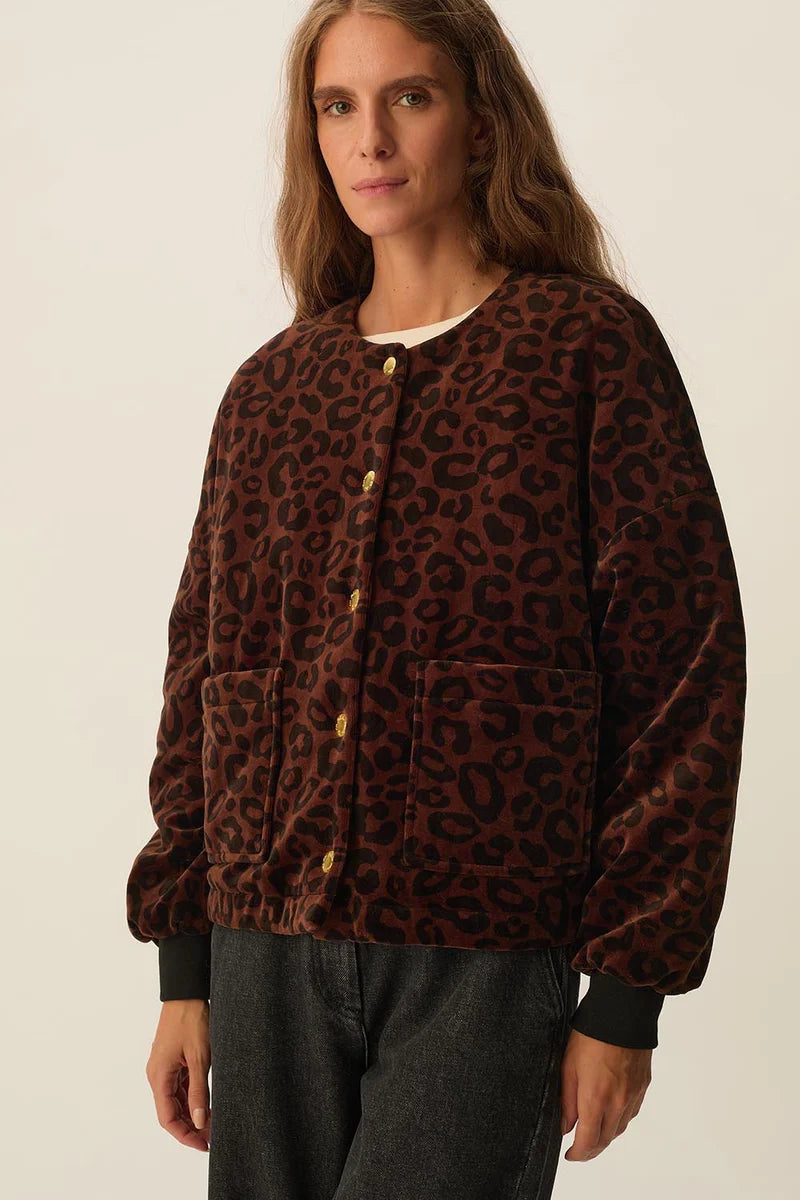 Hilda Velvet Bomber Jacket In Leopard