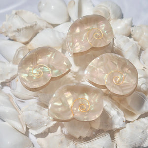 Siren Shell Claw