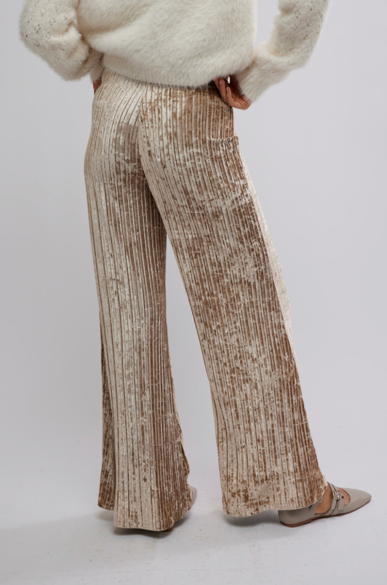 Star Sign Velvet Pants In Champagne